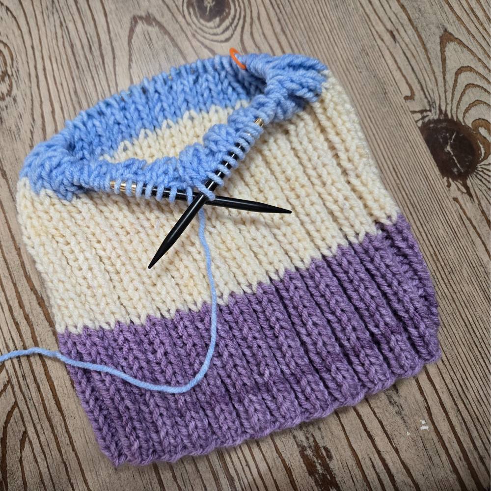 Blue Silk | 9" Circular Knitting Needles | Ebony | 6 Sizes